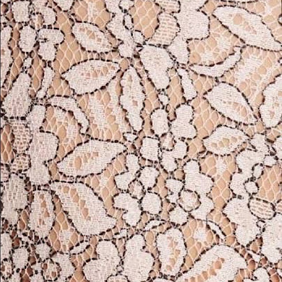 FREE PEOPLE | LACE LONG SLEEVE SHIRT DRESS | BLUSH - Picture 5 of 5